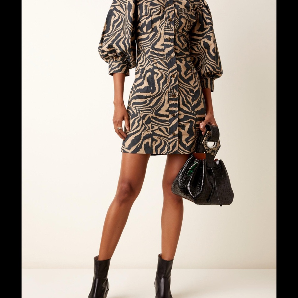 Zebra Print Puff Sleeve Dress